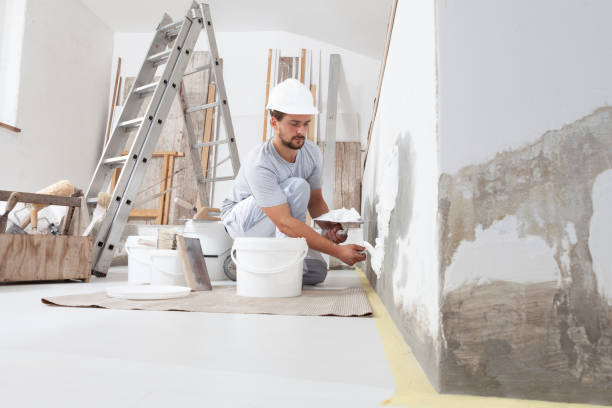Professional Mold Removal in Wyndmoor, PA