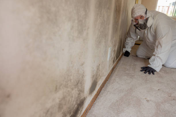 Best Air Quality Testing for Mold Spores  in Wyndmoor, PA