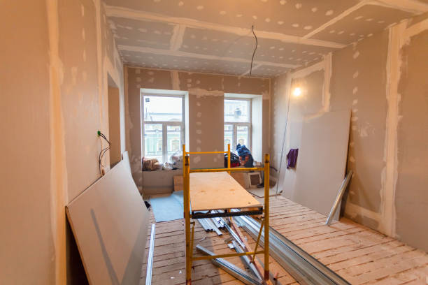 Best Black Mold Removal  in Wyndmoor, PA